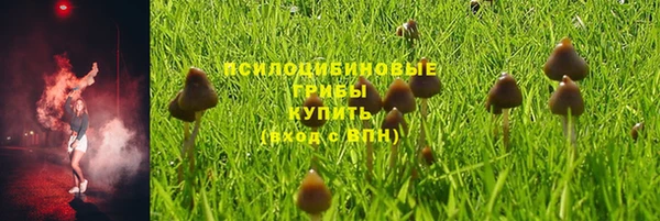 стафф Балахна