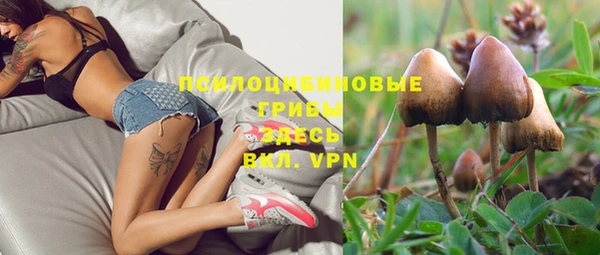 стафф Балахна