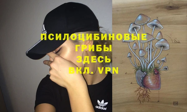 стафф Балахна